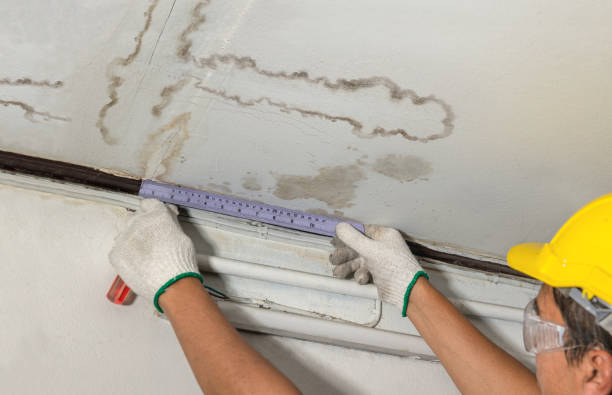 Affordable Water Damage Repair solutions in South Charleston, OH